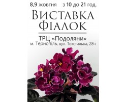 Выставка фиалок в Тернополе 7-8 октября 2016